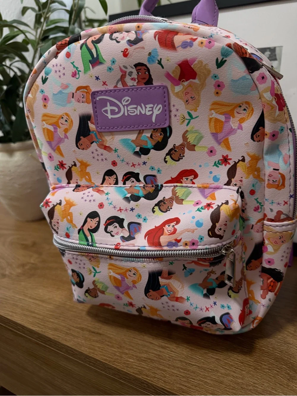 Disney Pink Multicolor Princess Mini Backpack